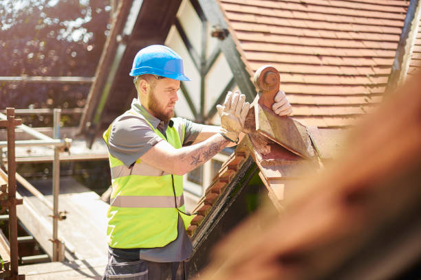 Best Storm Damage Roof Repair  in Jenkins, KY